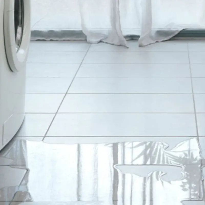 Appliance Leak Cleanup in Winterport, ME