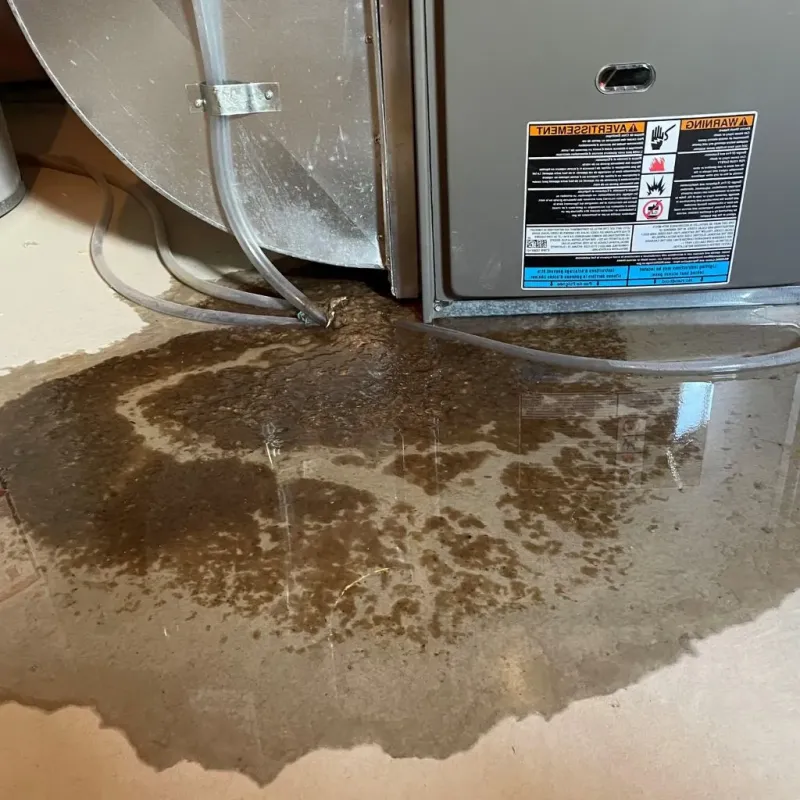 Pipe Burst and Leak Restoration in Winterport, ME